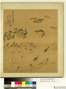 清张伟写生花卉　册　鱼藻,绘画,水中动植物,山水