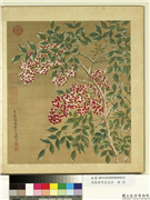 清张伟写生花卉　册　天竹,绘画,花草,山水