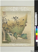 清戴洪画龄寿乐孝　册　激流山鹧,绘画,翎毛,树木,山水,花草