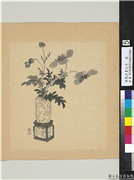 清张忠画花卉　册　罂粟,绘画,花草,器用