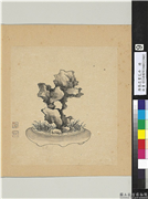 清张忠画花卉　册　草石,绘画,山水,花草,器用