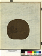 清无款花鸟画册　册　莲荷鹭鸶,绘画,翎毛,花草