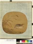 清无款花鸟画册　册　鹌鹑,绘画,翎毛,花草