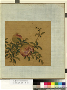 清无款花鸟画册　册　石榴,绘画,果蔬