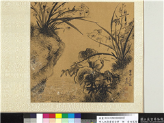 明人祝寿书画合璧　册　春雨芝兰,绘画,花草,树木,山水