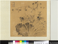 明人祝寿书画合璧　册　二月春光,绘画,花草,树木,山水