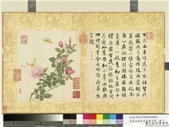 清蒋廷锡张照书画合璧　册　月季披秀,绘画,书法,花草,草虫