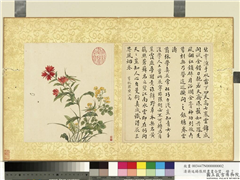 清蒋廷锡张照书画合璧　册　秋萝蝗虫,绘画,书法,花草,草虫