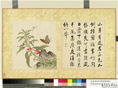 清蒋廷锡张照书画合璧　册　凤仙倒挂,绘画,书法,花草,草虫,其他