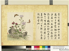 清蒋廷锡张照书画合璧　册　玉蕊云霞,绘画,书法,花草,草虫