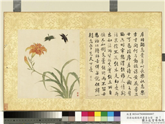 清蒋廷锡张照书画合璧　册　萱花蜻蜓,绘画,书法,花草,草虫