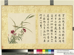 清蒋廷锡张照书画合璧　册　草石蚱蜢,绘画,书法,花草,草虫