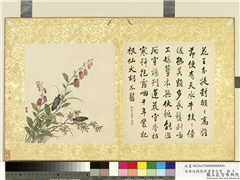 清蒋廷锡张照书画合璧　册　枸杞天牛,绘画,书法,花草,草虫