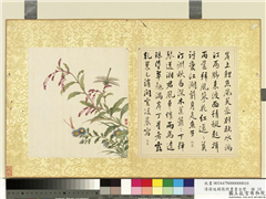 清蒋廷锡张照书画合璧　册　红蓼马兰,绘画,书法,花草,草虫