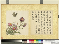 清蒋廷锡张照书画合璧　册　蓝菊斑烂,绘画,书法,花草,草虫