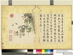 清蒋廷锡张照书画合璧　册　牵牛花开,绘画,书法,花草,草虫
