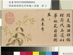 清钱维城绘花卉御题八香图　册　夜来香,绘画,花草
