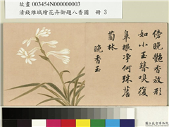 清钱维城绘花卉御题八香图　册　晚香玉,绘画,花草