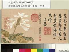 清钱维城绘花卉御题八香图　册　玉簪花,绘画,花草