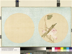 清光绪御笔绢画扇面　册　莲蓬芦花,绘画,花草