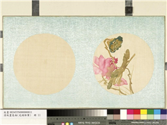 清光绪御笔绢画扇面　册　粉荷莲实,绘画,花草