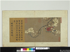 宋人绘珍片玉　册　宋林椿玉兰鹦鹉,绘画,翎毛,花草