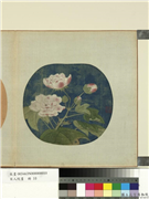 宋人院画　册　宋人芙蓉,绘画,花草