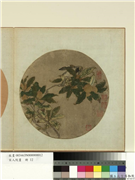 宋人院画　册　宋人翎毛,绘画,树木,翎毛