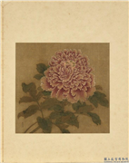 宋元名绘　册　彭与义牡丹,绘画,花草