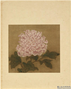 宋元名绘　册　彭与义牡丹,绘画,花草