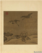 宋元名绘　册　无款荷雁,绘画,翎毛,花草,树木