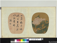 宋元明人合璧　册　无款芙蓉,绘画,书法,花草