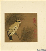 列朝名绘合册　册　宋徽宗松枝黄鹂,绘画,翎毛,树木