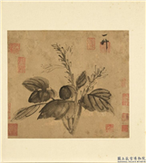 列朝名绘合册　册　宋徽宗水墨玉簪,绘画,花草