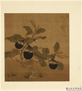 列朝名绘合册　册　无款设色画茄,绘画,果蔬,草虫,花草