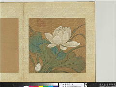 韫真集庆　册　无款画荷,绘画,花草