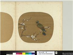 诸仙妙绘　册　五代後蜀黄筌白梅山鸟,绘画,翎毛,花草