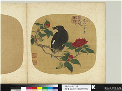 诸仙妙绘　册　宋徽宗山茶鸲鹆,绘画,翎毛,花草