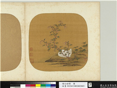诸仙妙绘　册　宋毛松红蓼竹鹅,绘画,翎毛,花草,树木,山水
