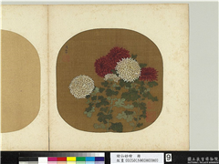 诸仙妙绘　册　宋汤正仲画菊,绘画,花草