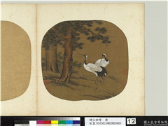 诸仙妙绘　册　无款画松鹤,绘画,树木,翎毛,花草
