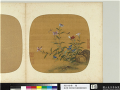 诸仙妙绘　册　无款蜂蝶石竹,绘画,花草,草虫,山水