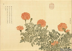 卉林胪瑞　册　清人万春纪筭,绘画,花草