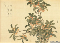 卉林胪瑞　册　清人月殿秋香,绘画,花草
