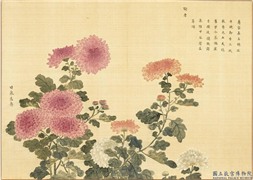 卉林胪瑞　册　清人甘泉益寿,绘画,花草