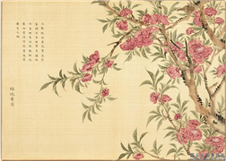 卉林胪瑞　册　清人瑶池香雨,绘画,花草