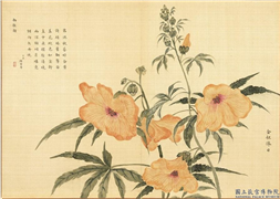 卉林胪瑞　册　清人金杯捧日,绘画,花草