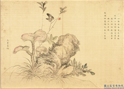 卉林胪瑞　册　清人三秀呈祥,绘画,花草