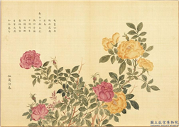 卉林胪瑞　册　清人仙圃恒春,绘画,花草