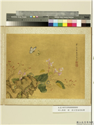 明人集绘　册　清王质海棠秋蝶,绘画,花草,草虫,山水